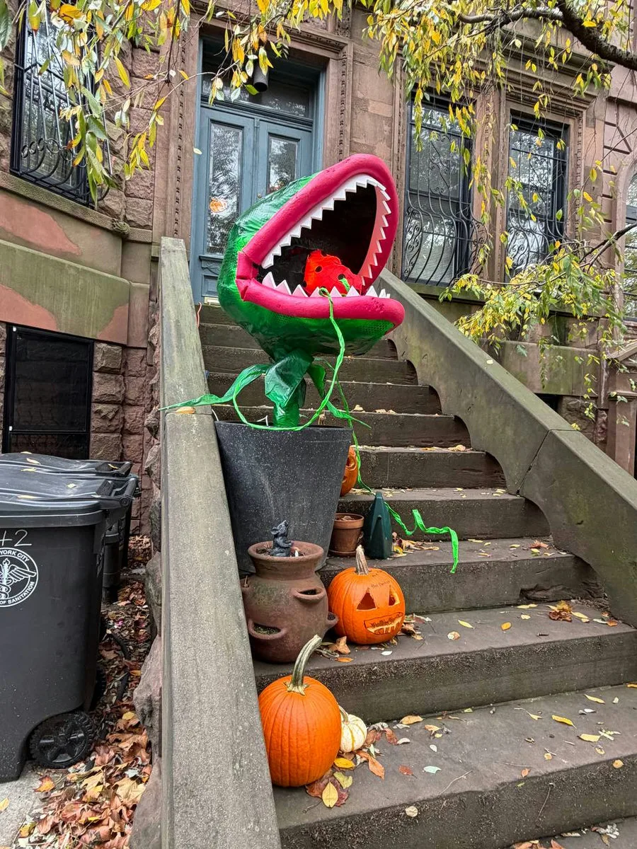 A giant carnivorous plant decoration on brownstone steps with carved pumpkins