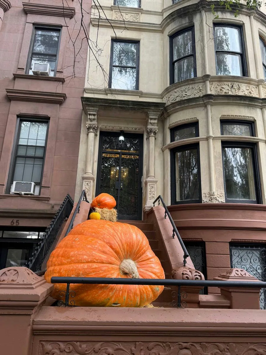 Charlie Pigott's giant pumpkin on his Eighth Avenue stoop